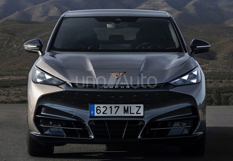 Tavascan 77kWh 210kW Endurance First Edition