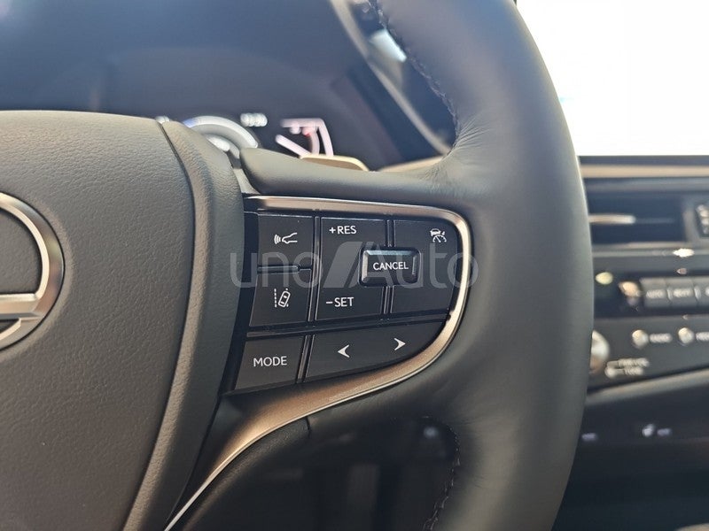 ES 300h Premium
