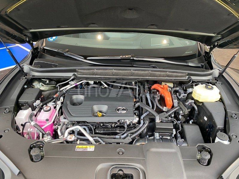RX 450h+ Executive
