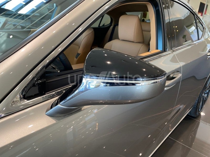 ES 300h Premium