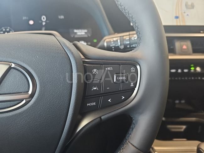 UX 300h F Sport Legend