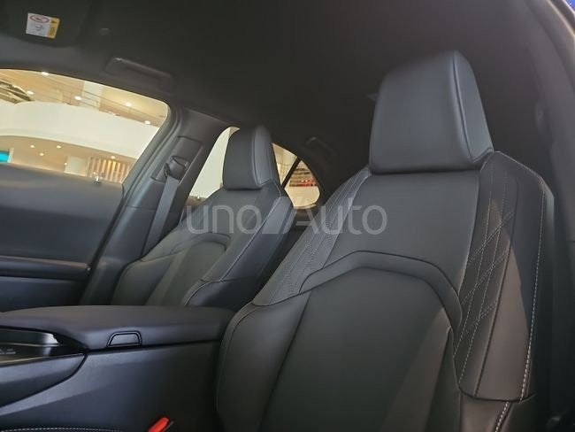 UX 300h F Sport Legend
