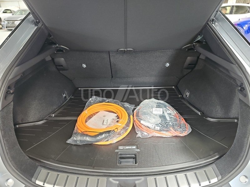 RZ 350e e-Premium Efficiency FWD