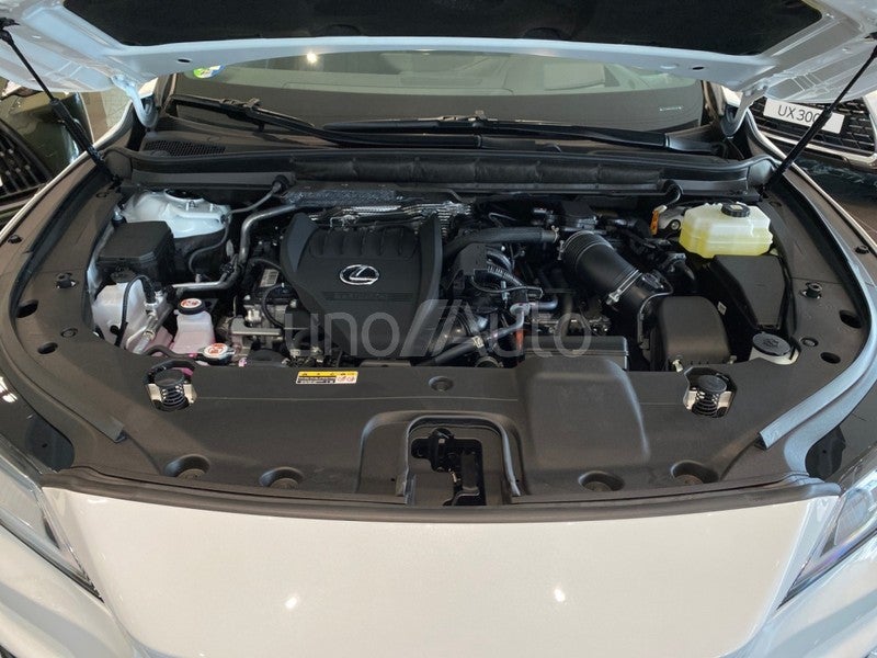 RX 500h F Sport