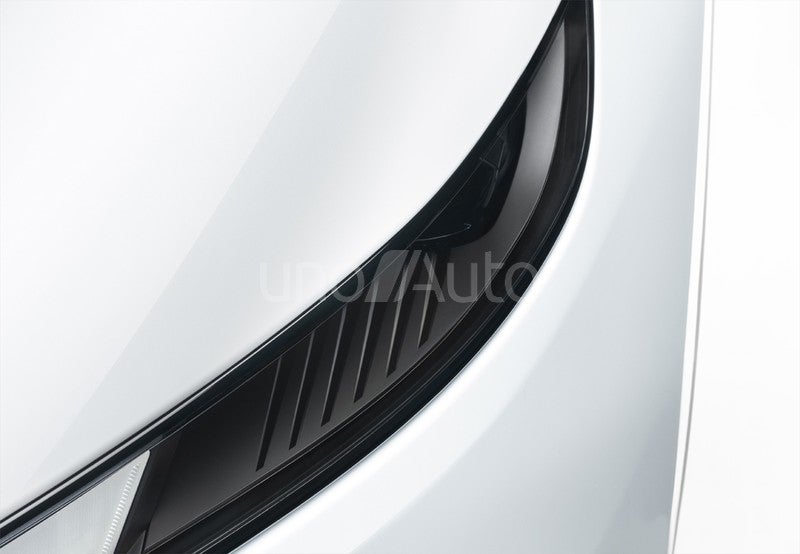 Model Y RWD