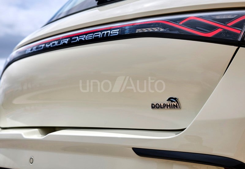 Dolphin Design