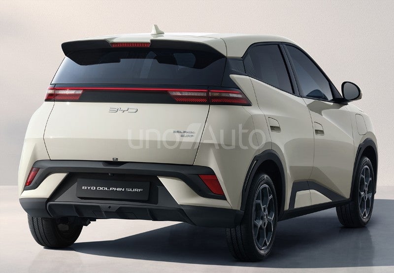 Dolphin Surf Active 175kW