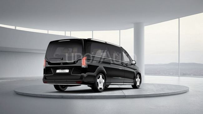 300 Exclusive Extralargo