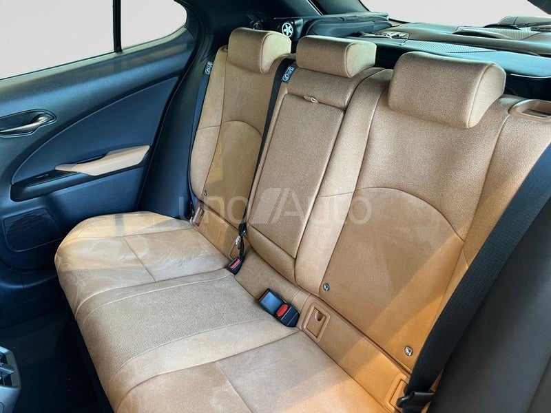 LEXUS UX 2.0 300h  Plus