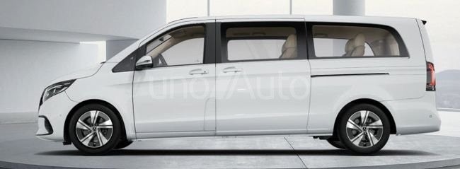 300 Avantgarde Extralargo