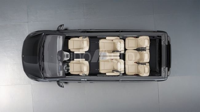 300 Exclusive Extralargo