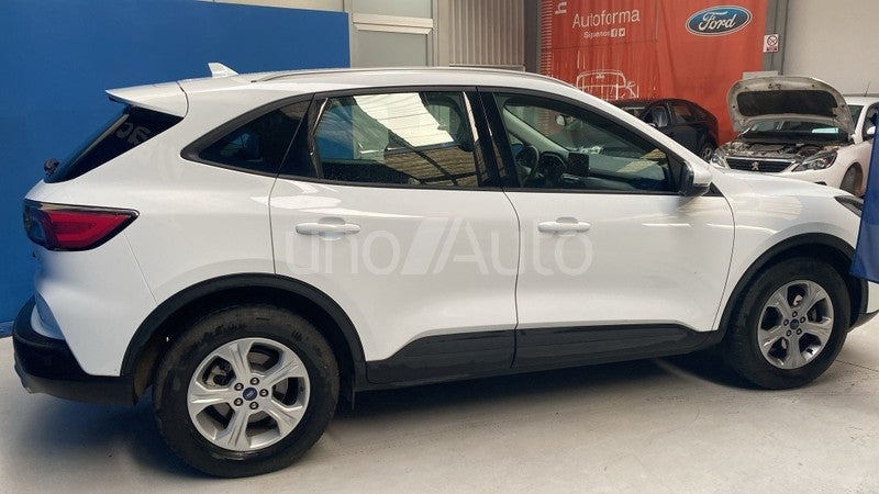 Kuga 1.5 EcoBlue Trend FWD 120