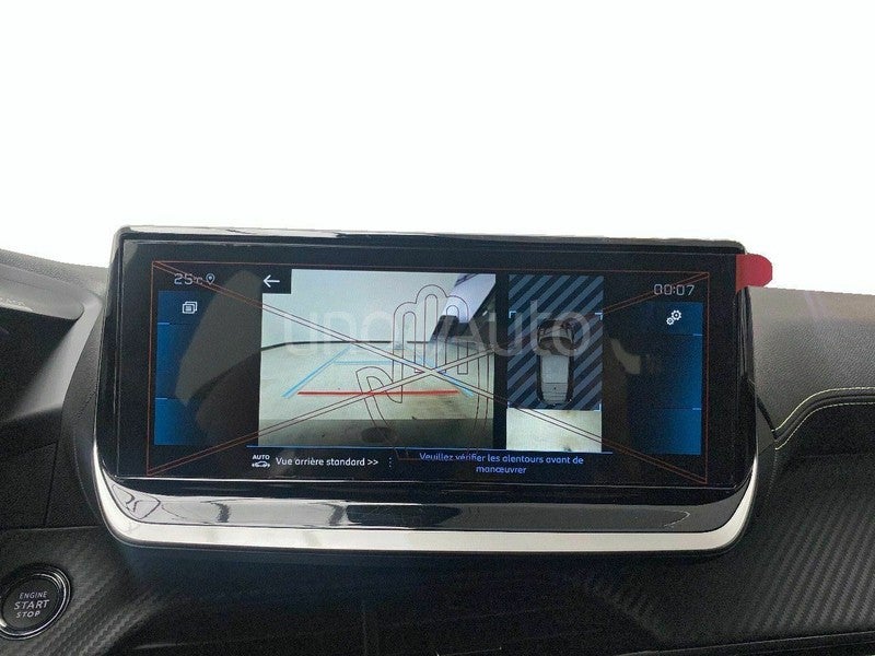 GT Puretech 100