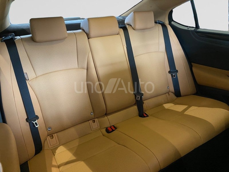 ES 300h Premium