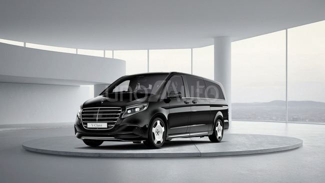 250 d Exclusive Extralargo