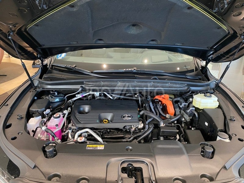 RX 450h+ Executive