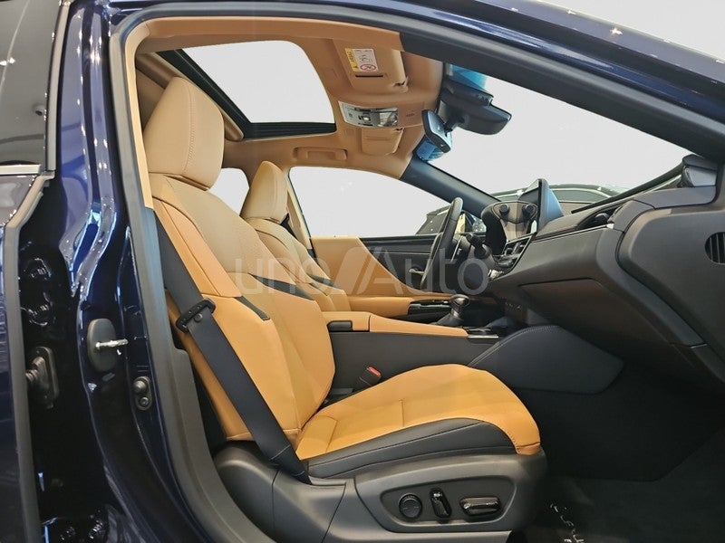 ES 300h Premium