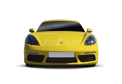 Cayman T