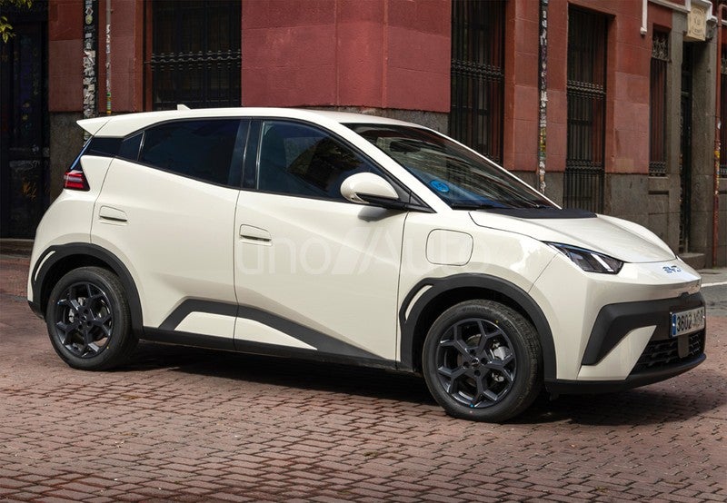 Dolphin Surf Active 175kW
