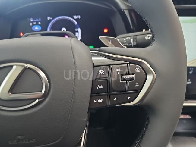 RZ 350e e-Premium Efficiency FWD