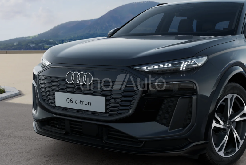 Q6 e-tron performance S line 225kW 100KWh