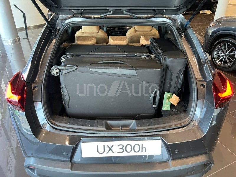 UX 300h UX+