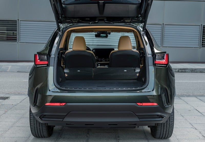 NX 300h Business Navigation 2WD