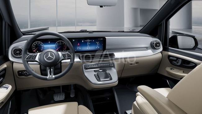 300 Exclusive Extralargo