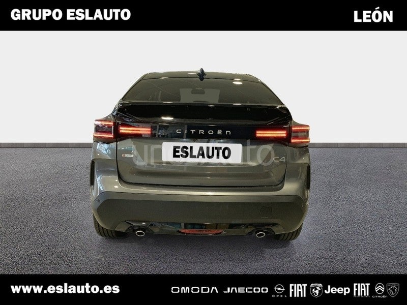 C4 Hybrid Collection eDSC6 145