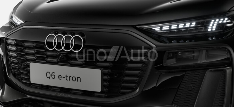 Q6 e-tron performance S line 225kW 100KWh