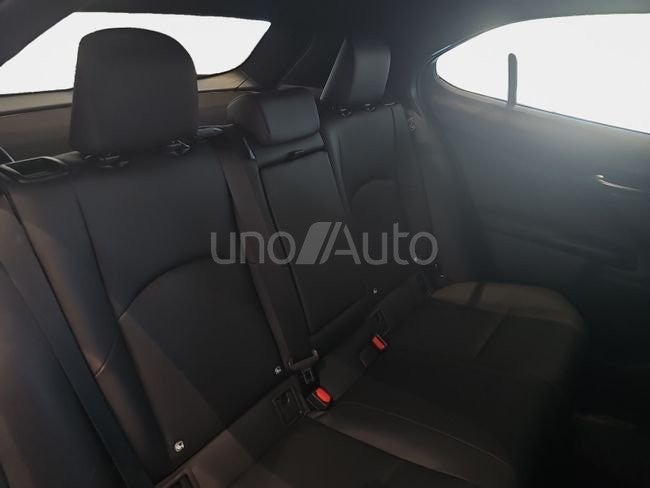 UX 300h F Sport Legend