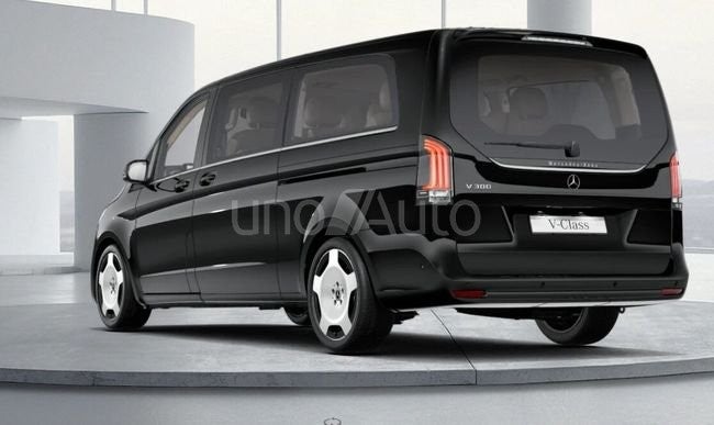 300 Avantgarde Extralargo