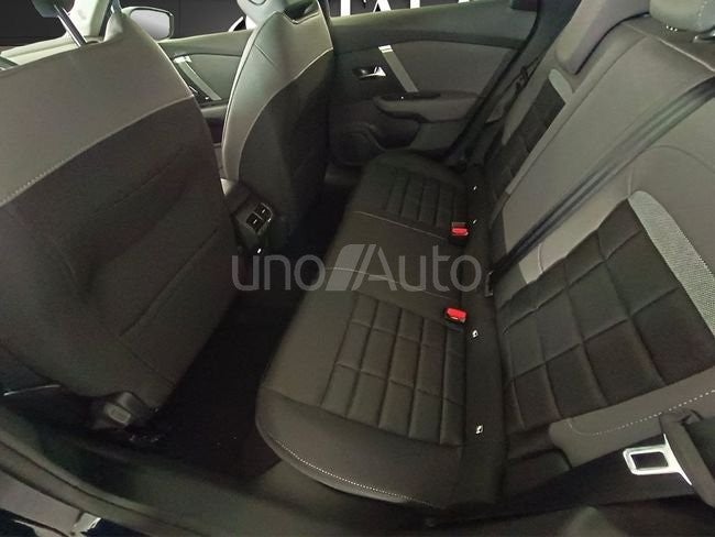 Hybrid 145 ë-DCS6 Collection