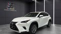 LEXUS NX 300h Executive Navigation 4WD