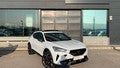 Cupra Formentor 2.0 TDI 110kW (150 CV) 4Drive DSG