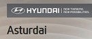 HYUNDAI ASTURDAI