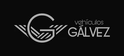 Logo Vehículos Galvez