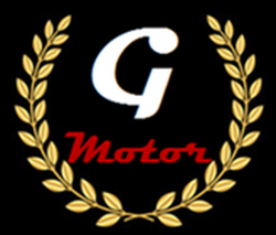 GAMARRA MOTOR