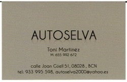Logo AUTO SELVA