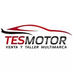 Logo Tesmotor