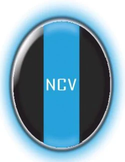 Logo NEW CARS VALENCIA