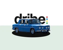 Logo DRIBE