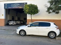 IMPORT AUTO LOS ALCORES S.L