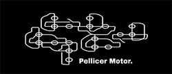 Logo PELLICER MOTOR