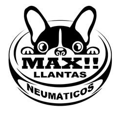 Logo Max Llantas