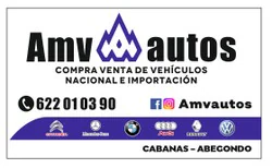 Logo AMV AUTOS