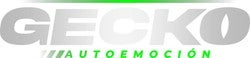 Logo GECKO TENERIFE