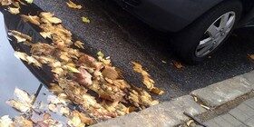 Unas pegatinas de hojas rojas identificarán a los coches más sucios