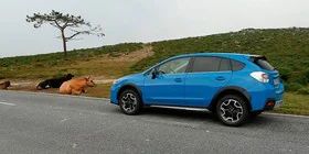 Prueba del Subaru XV 2.0 diésel 2016