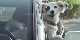 Un Audi y un perro astronauta: así anuncia la marca su tecnología